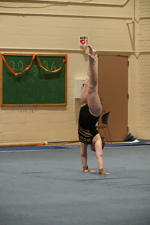 DSC02552