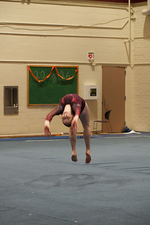 DSC03217