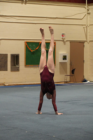 DSC03219