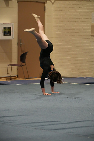DSC03380