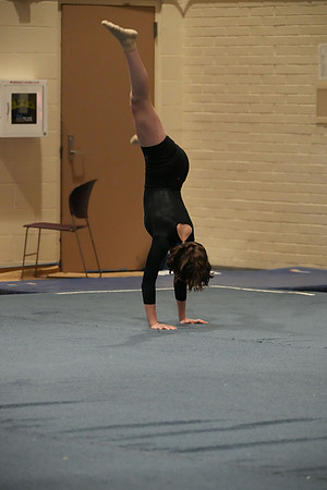 DSC03381