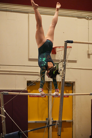 DSC03454