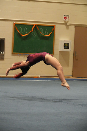 DSC04339