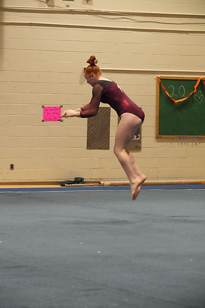 DSC04398