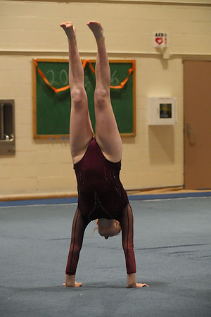 DSC04617