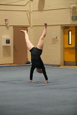 DSC05094