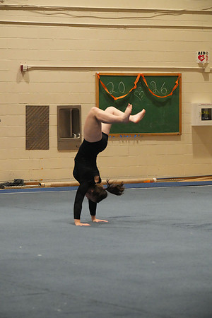 DSC05100