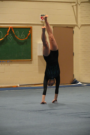 DSC05390