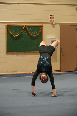 DSC05395