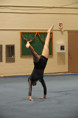 DSC05520