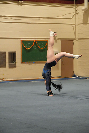 DSC05532