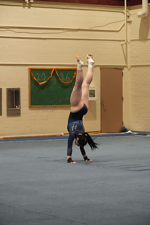 DSC05564
