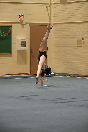 DSC05961