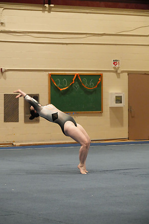 DSC06062