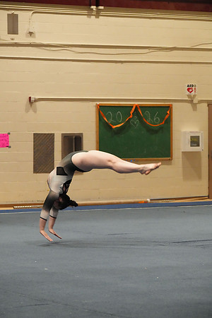 DSC06063