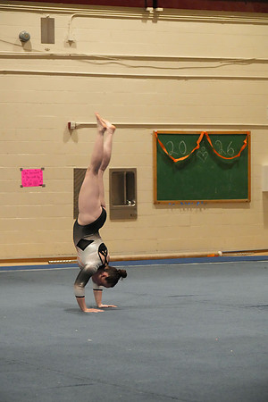 DSC06064