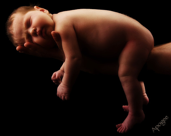 Baby in Hand 24x30