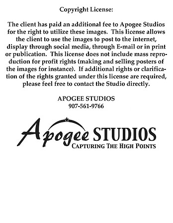 Copyright License